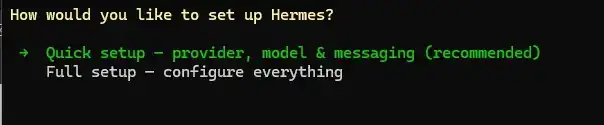 Hermes Agent 怎么配置步骤截图 31